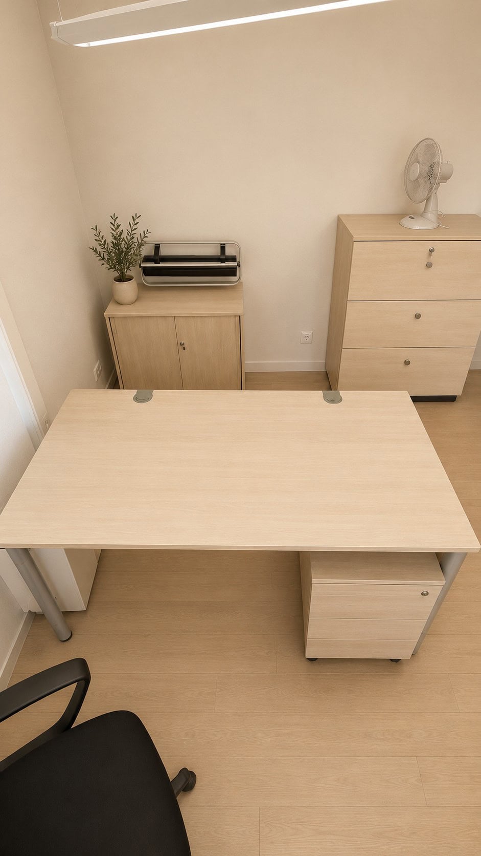 Un spațiu de lucru de birou de înaltă calitate, dotat cu un birou modern, spațiu de depozitare și plante decorative, ideal pentru o muncă productivă într-un mediu profesional.